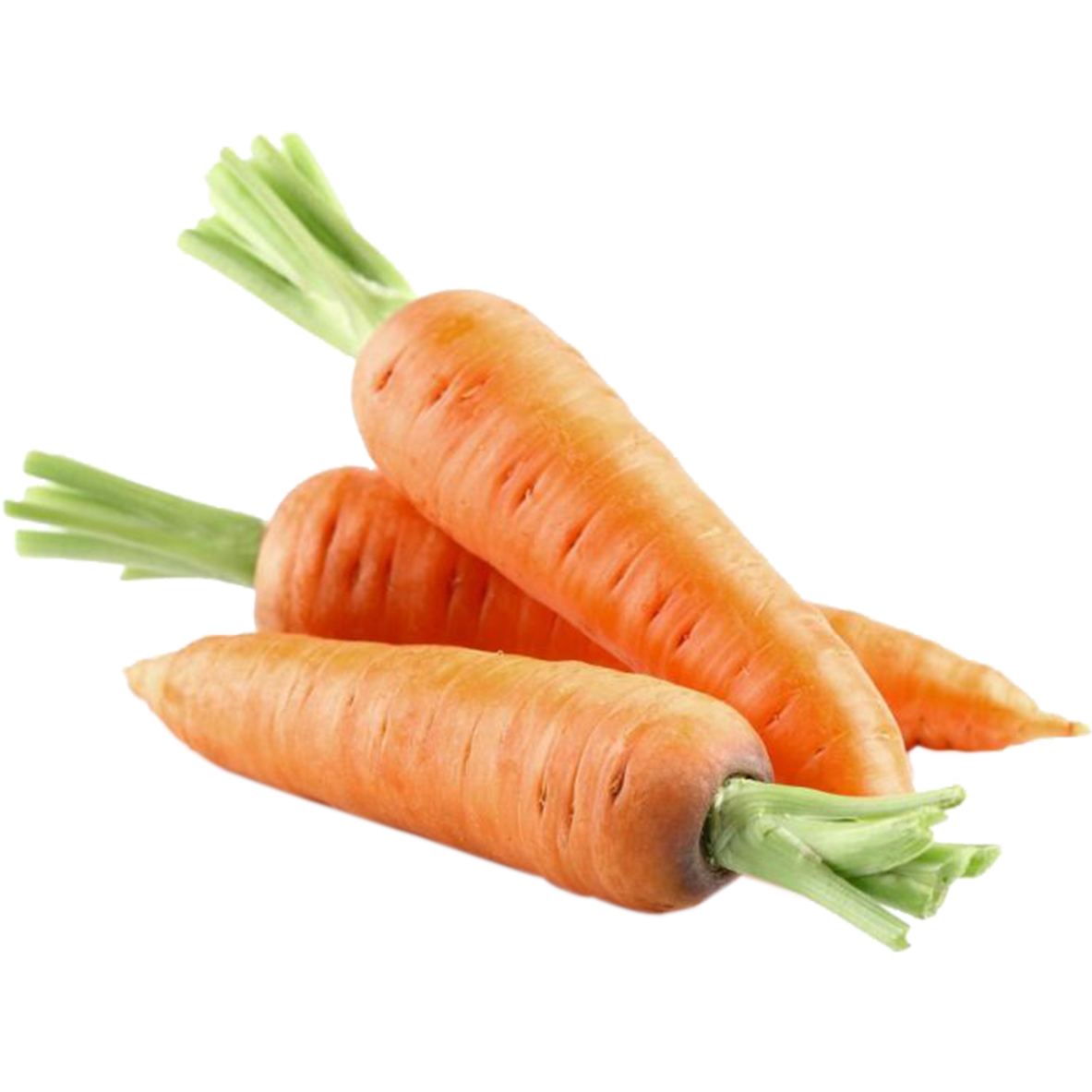 Carrot Australia