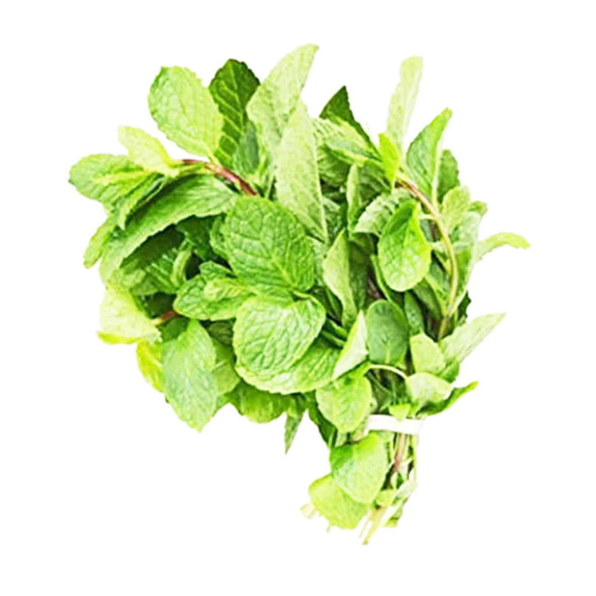 Mint Leaves