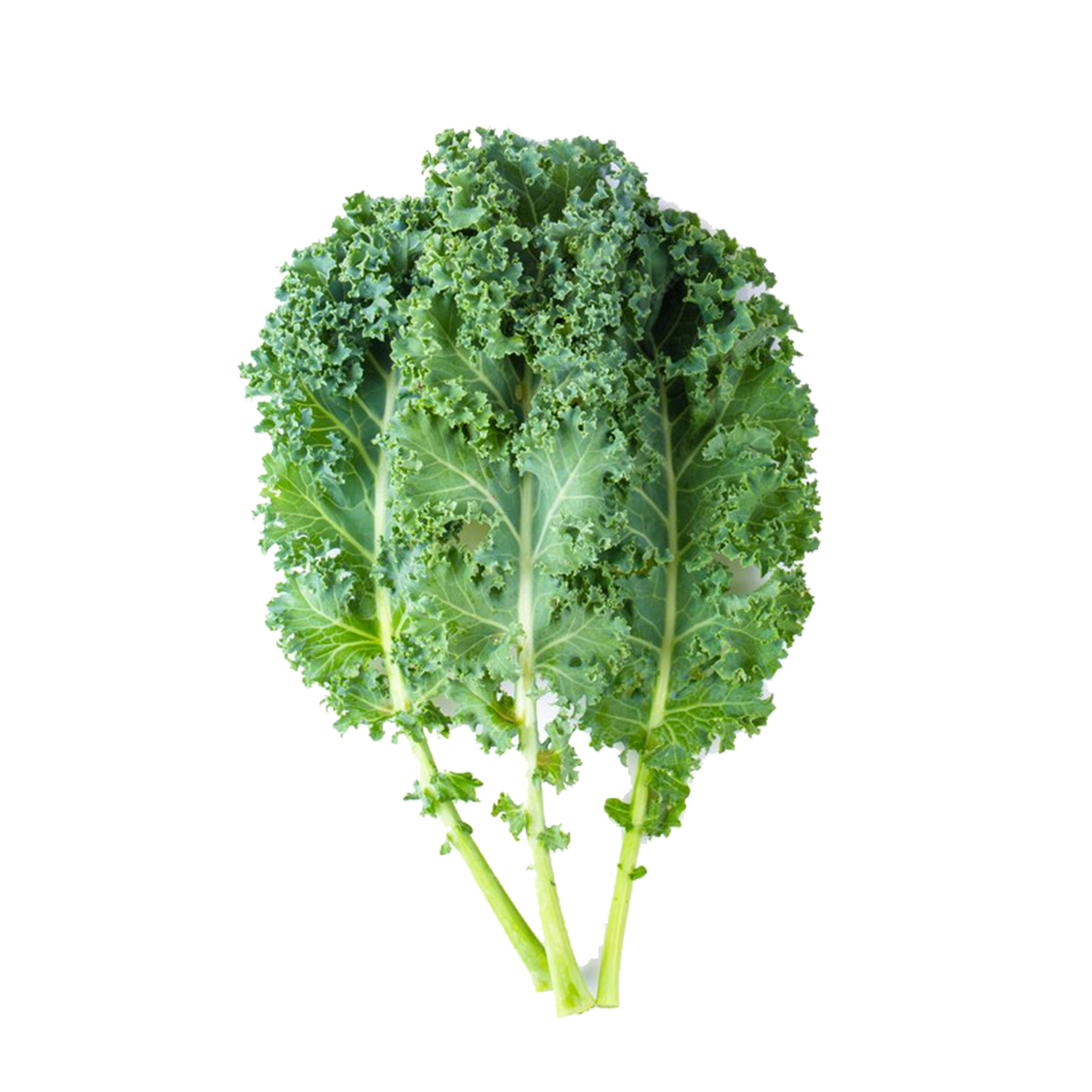 Kale Leaves