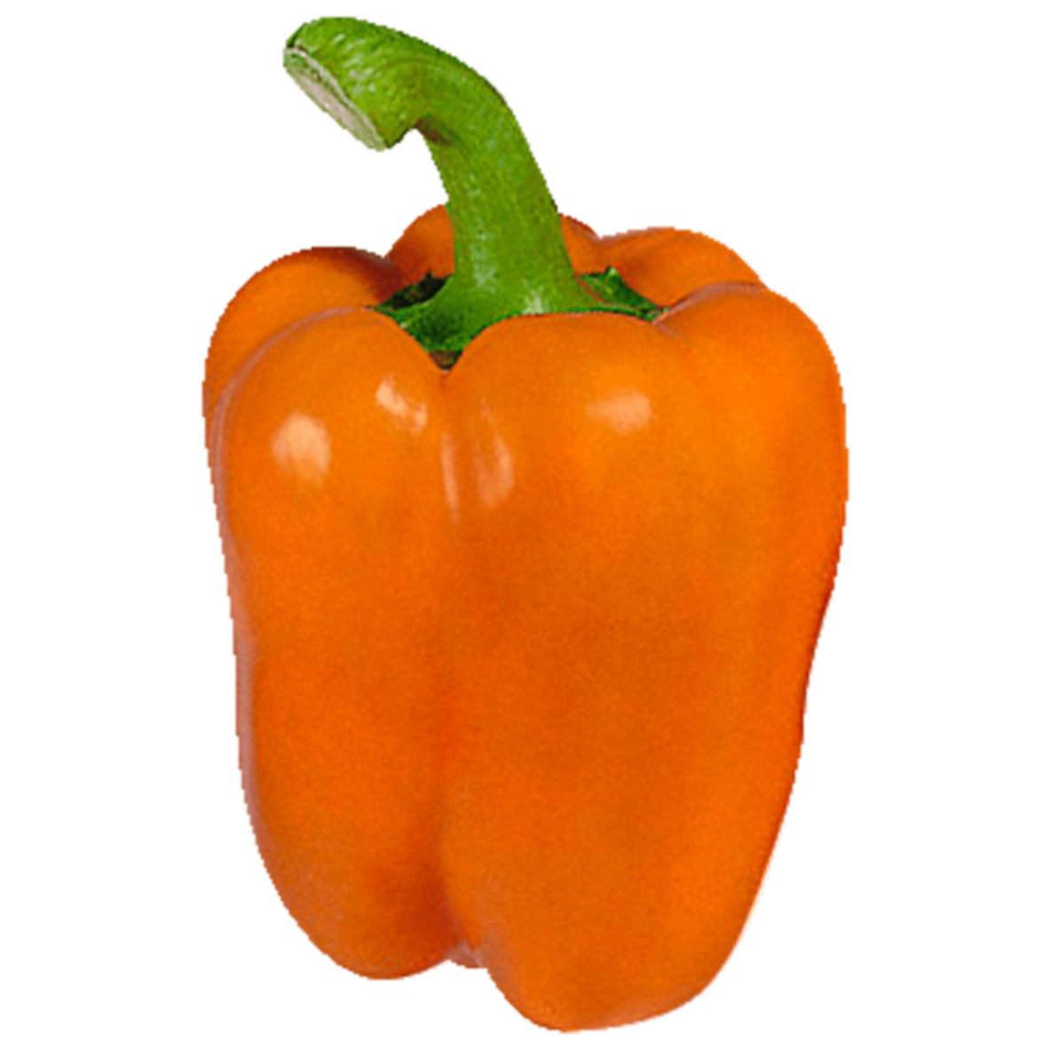 Capsicum Orange