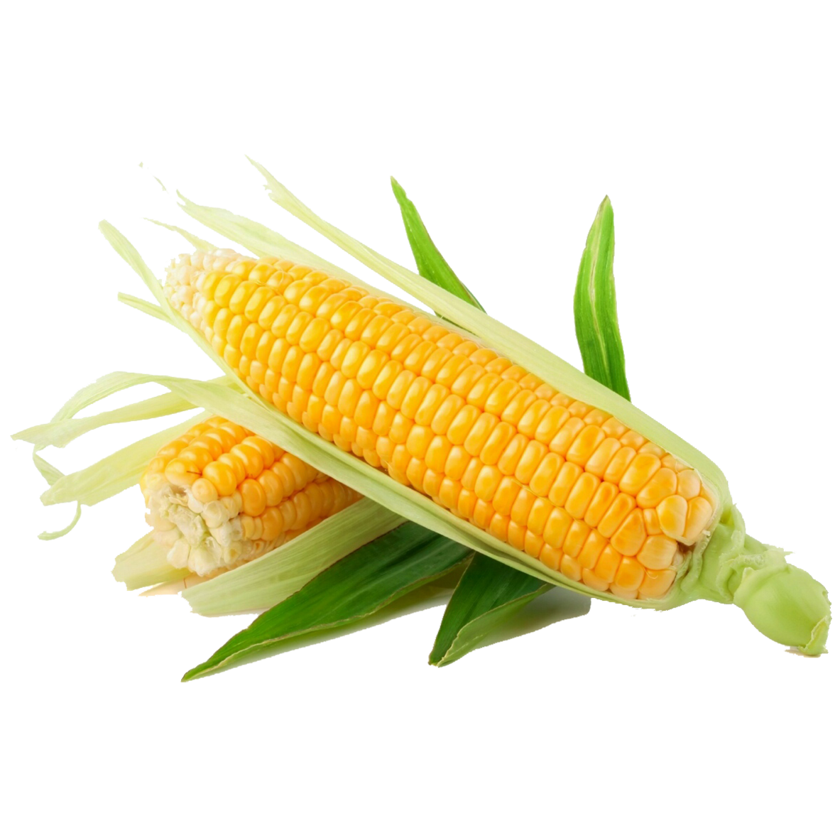 Corn