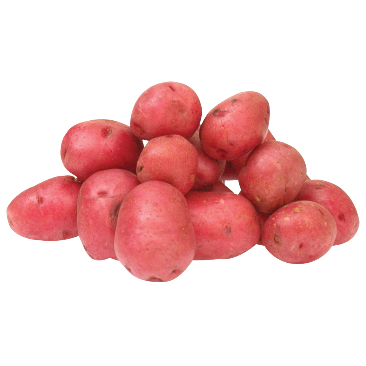 Potato Red