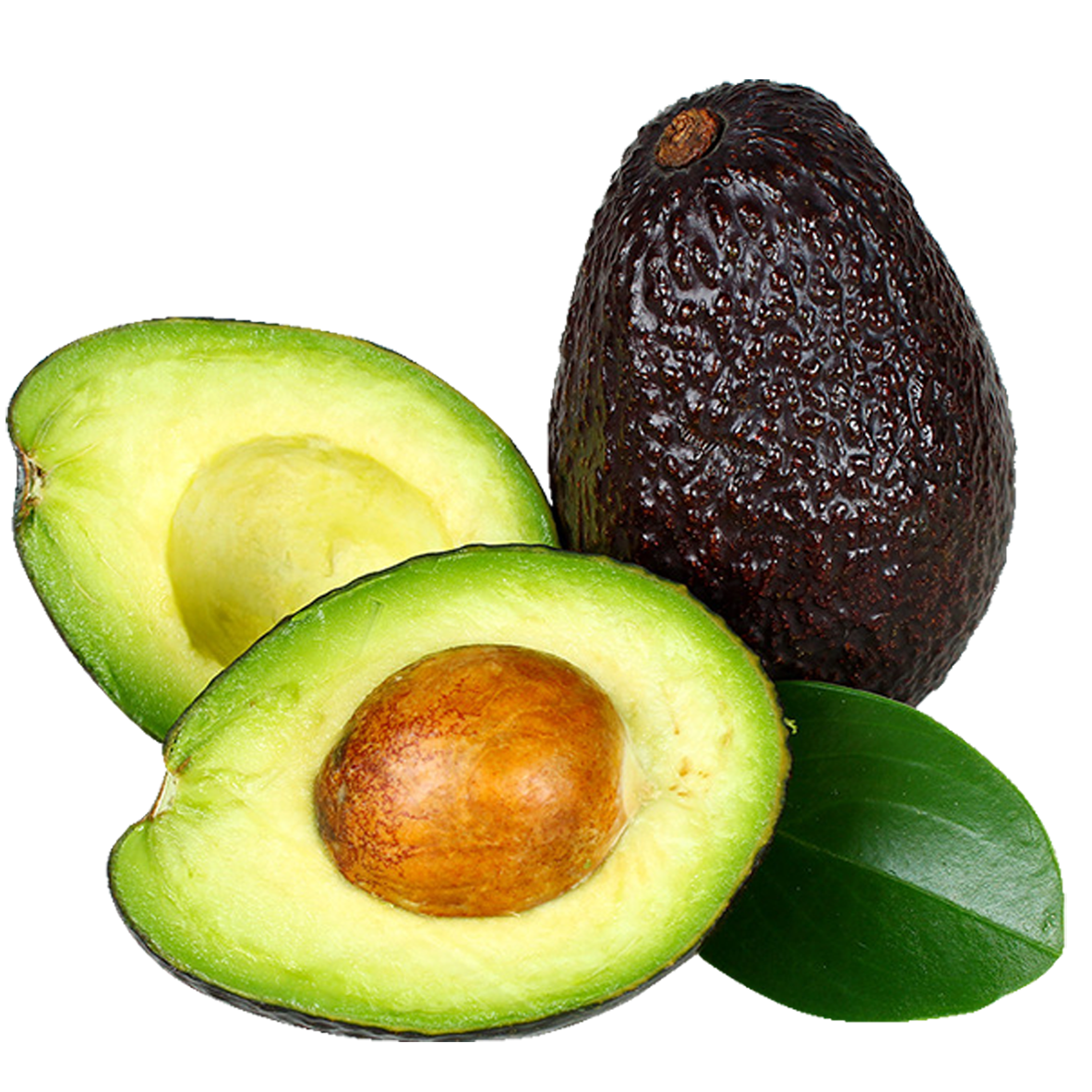 Avocado Mexico