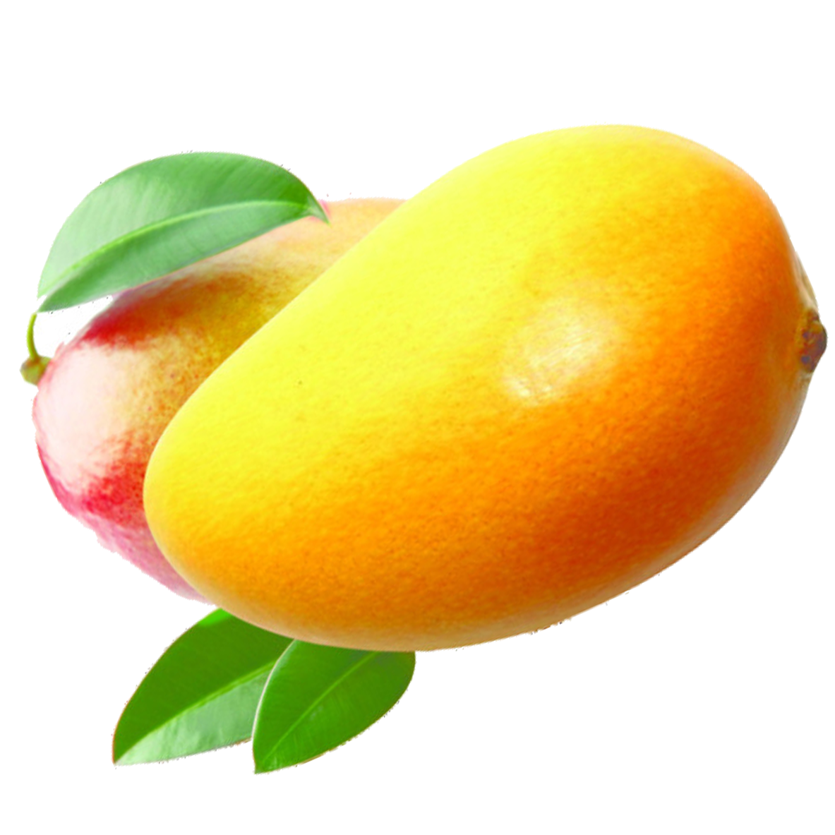 Mango Neelam