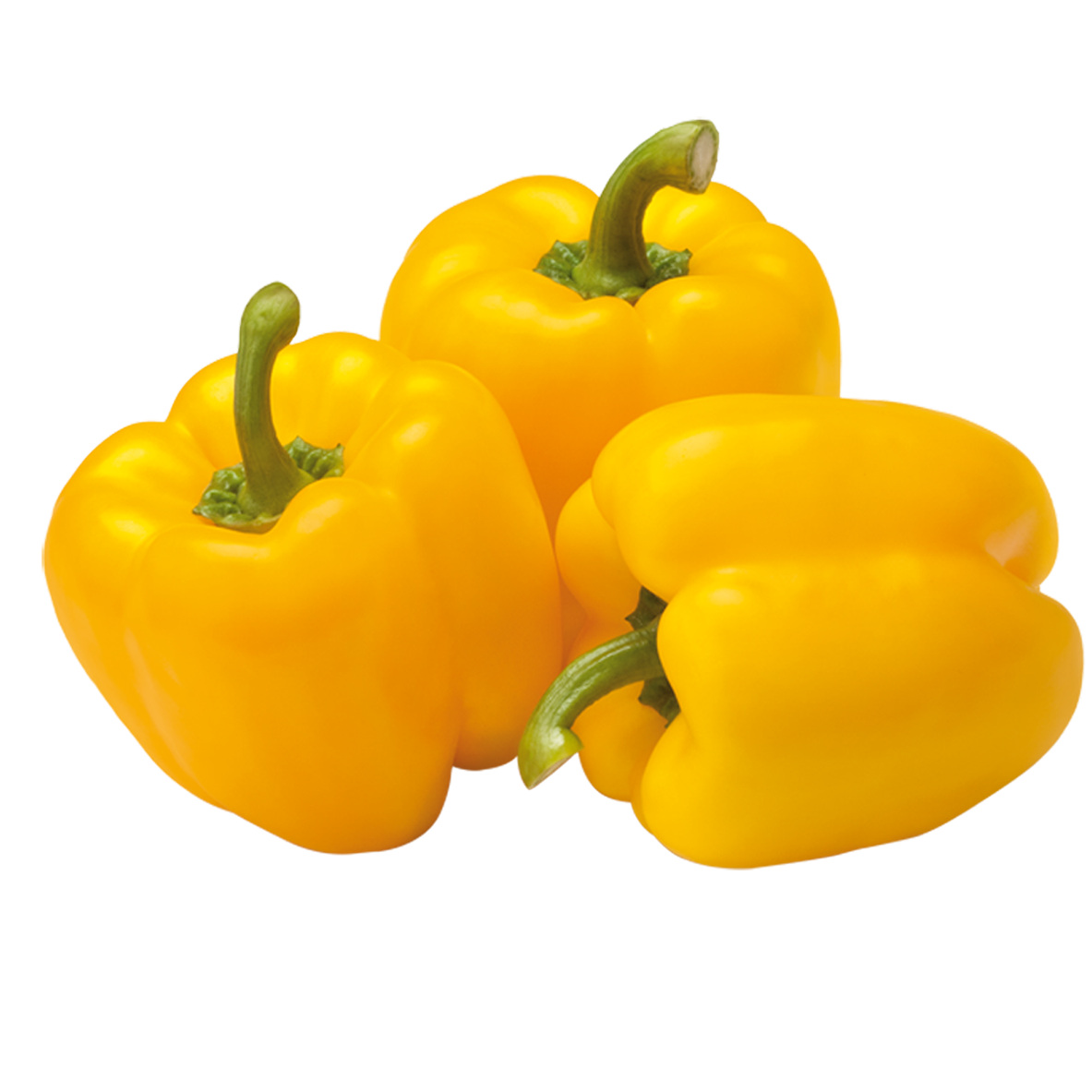 Capsicum Yellow