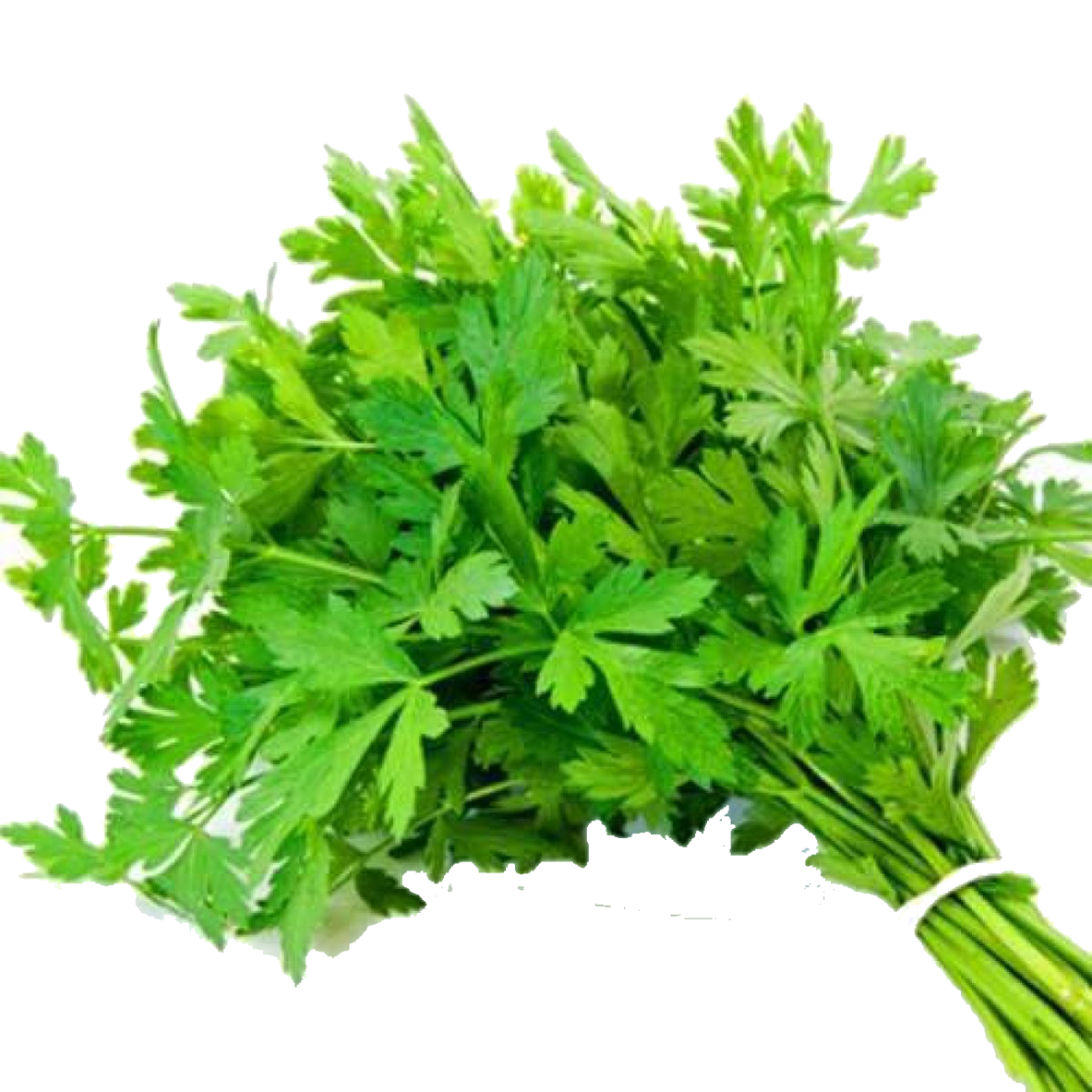 Parsley