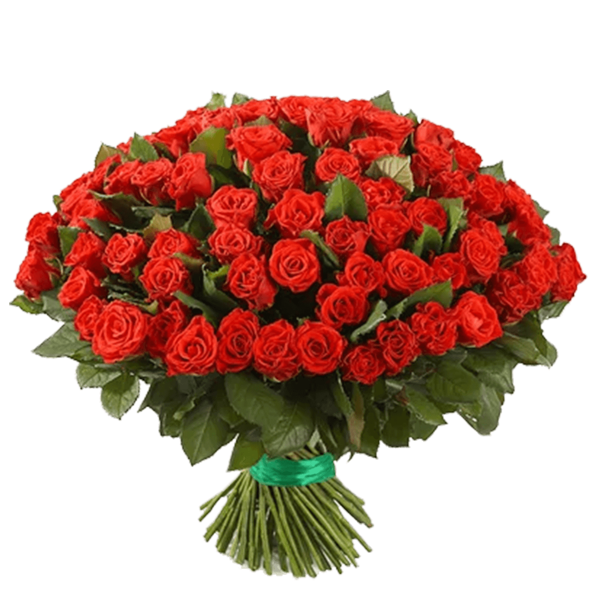 101Red Roses Handtied Bouquet