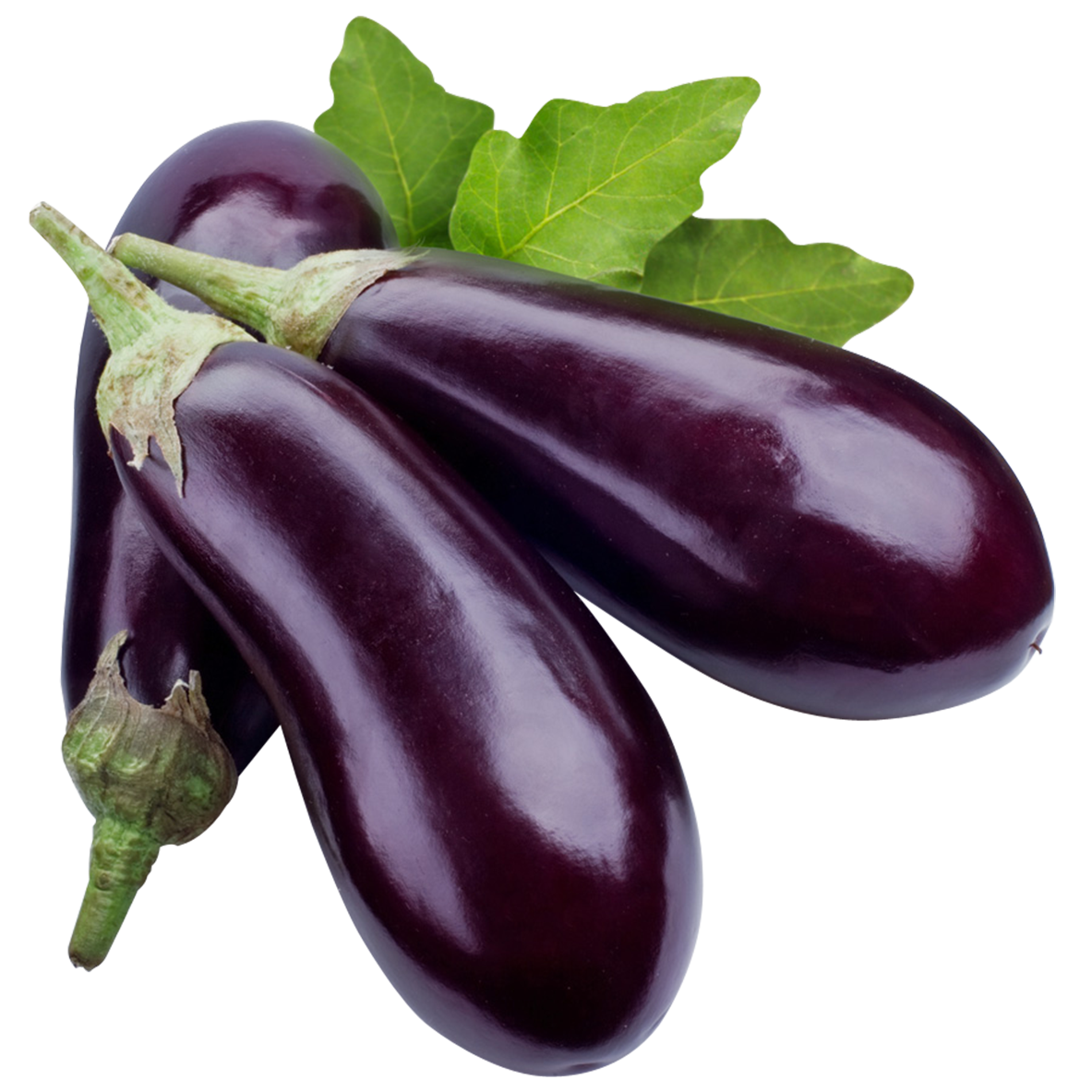 Eggplant