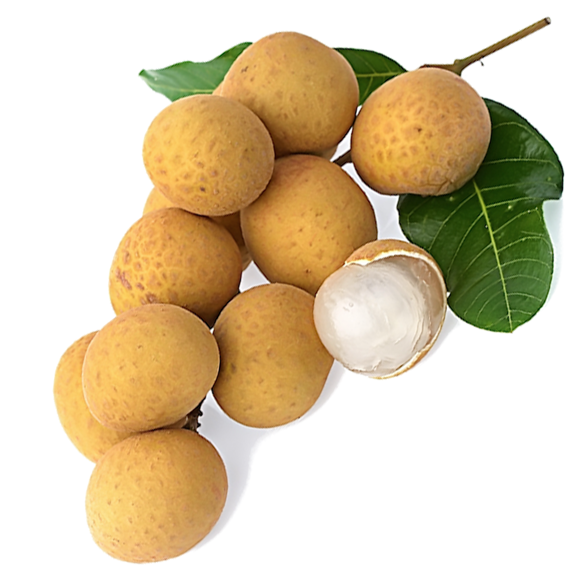 Longan Fruit