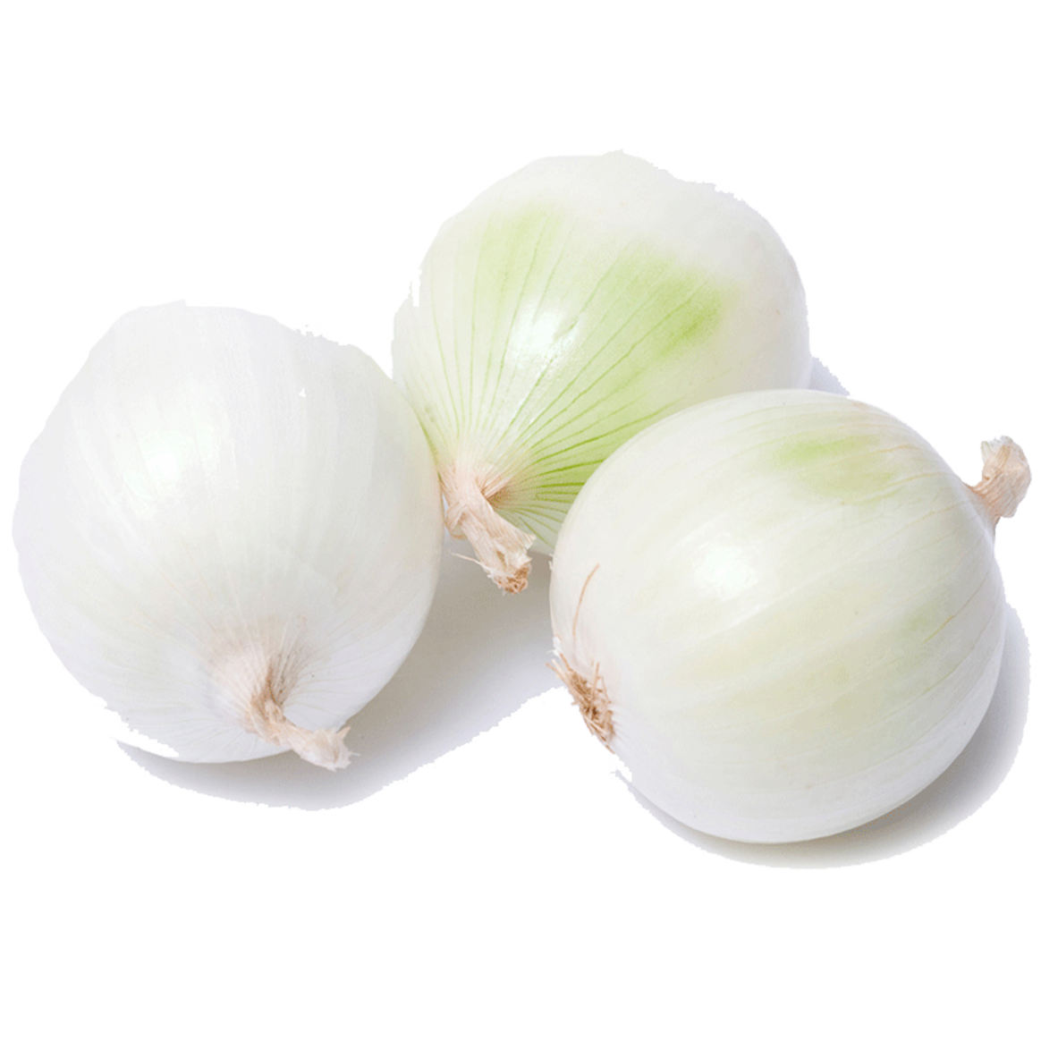 Onion White