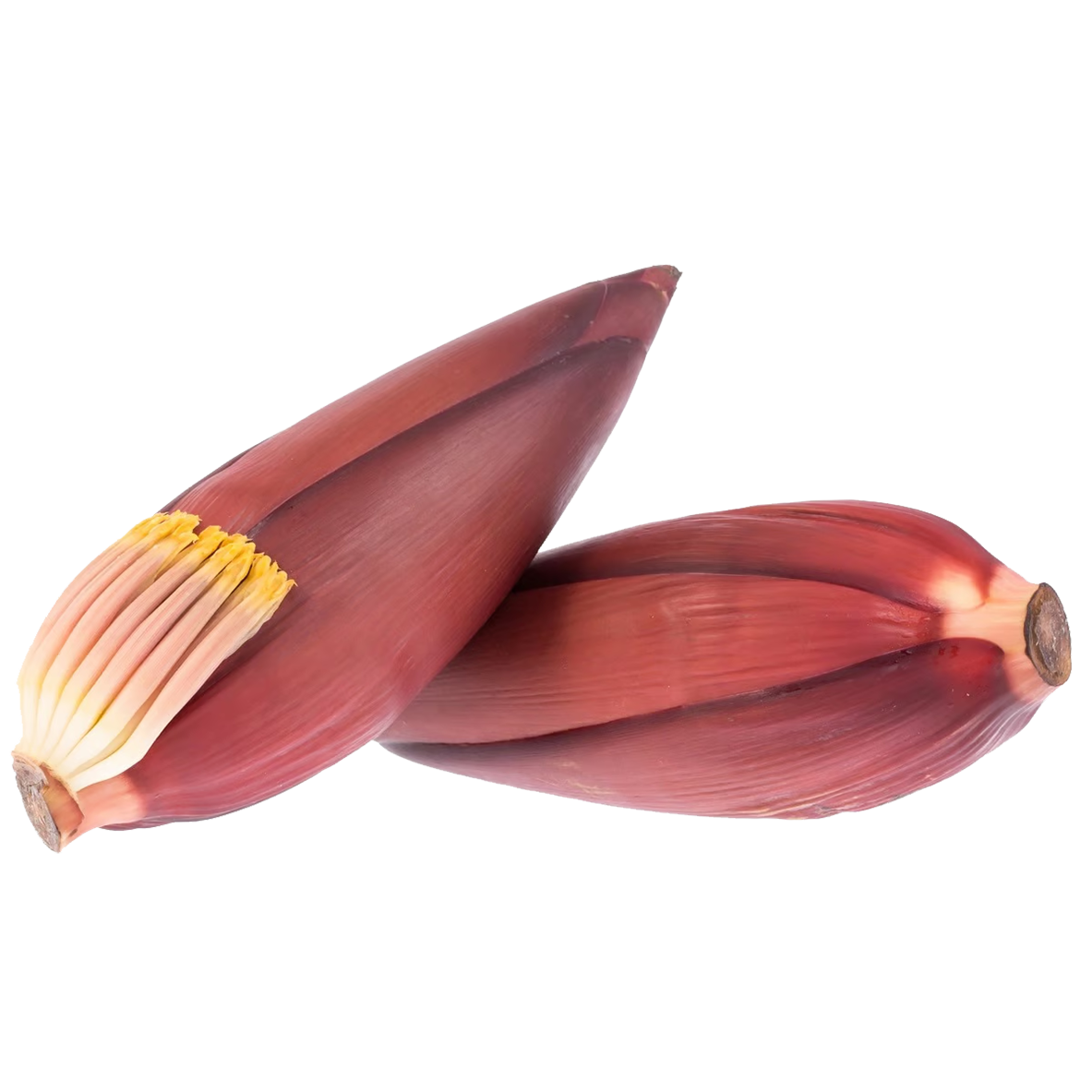 Banana Blossom