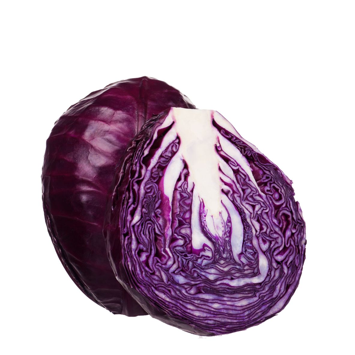 Red Cabbage