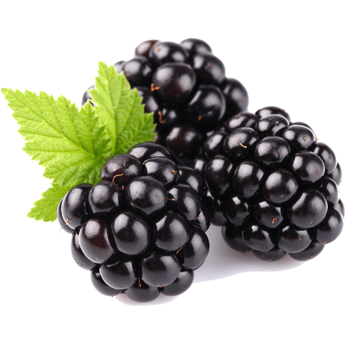 Blackberries