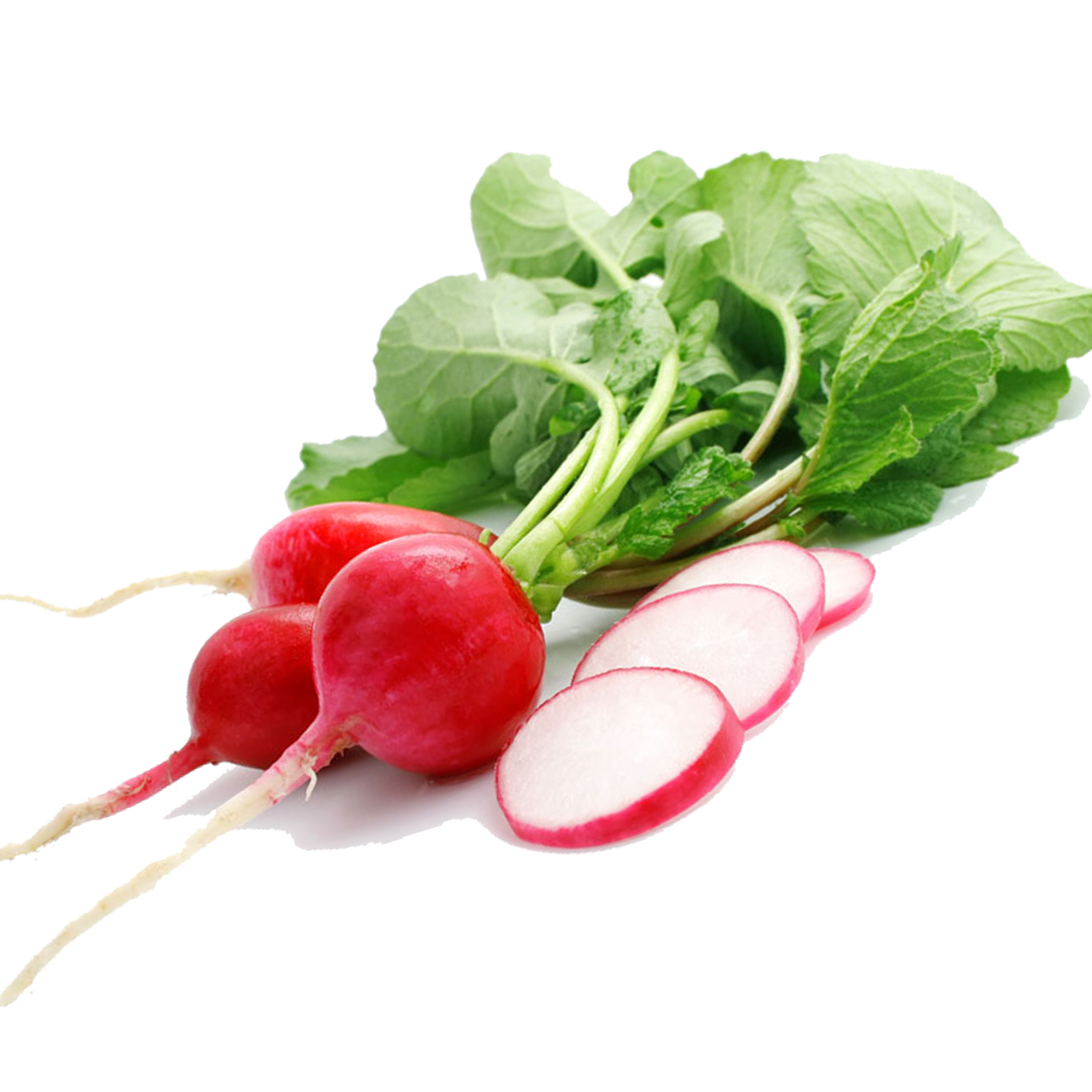 Red Radish Holland