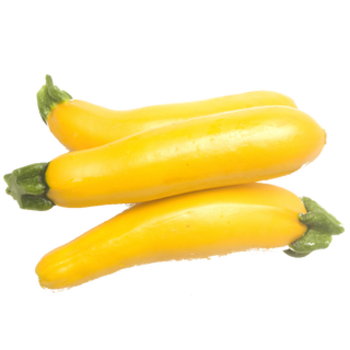 Yellow Zucchini