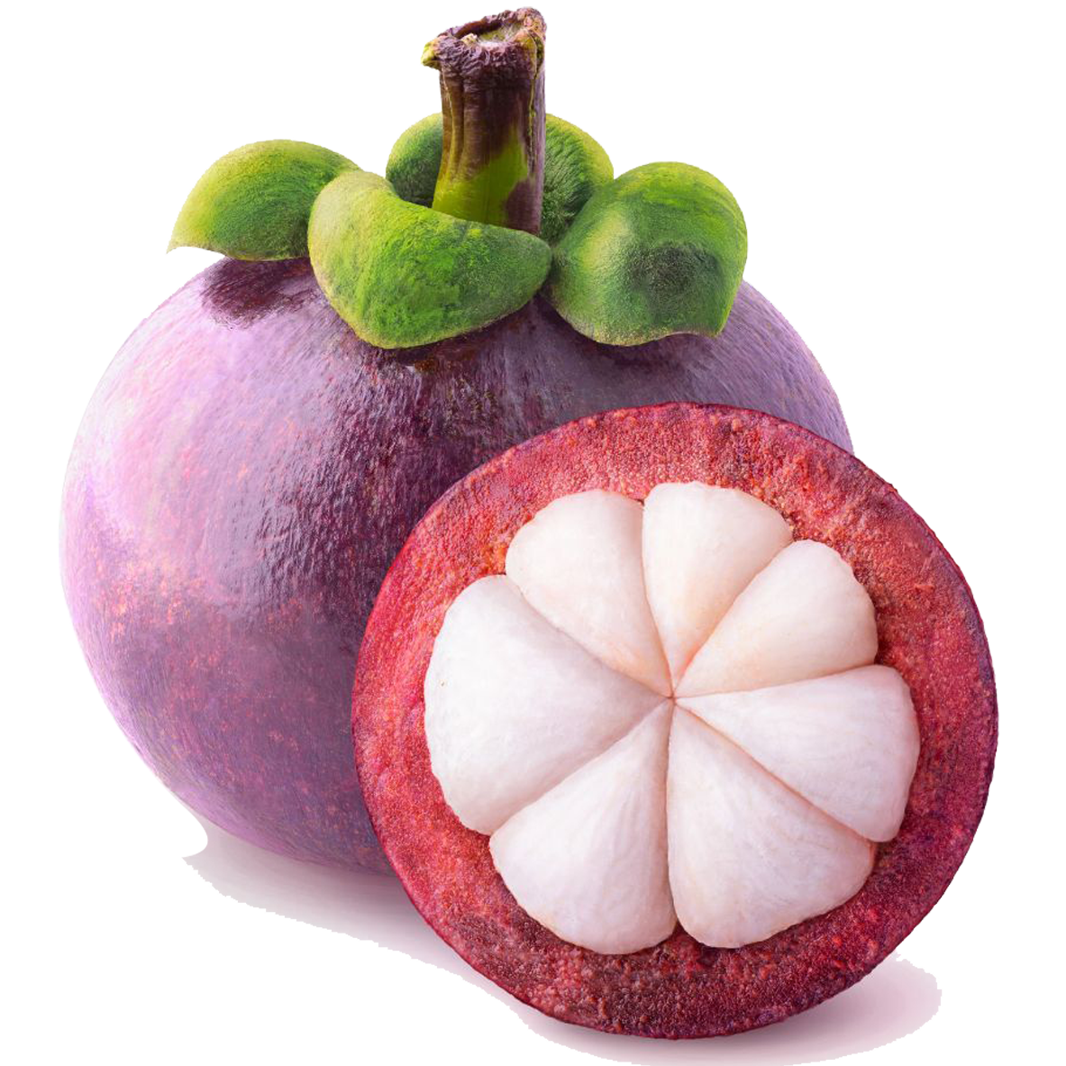 Mangosteen